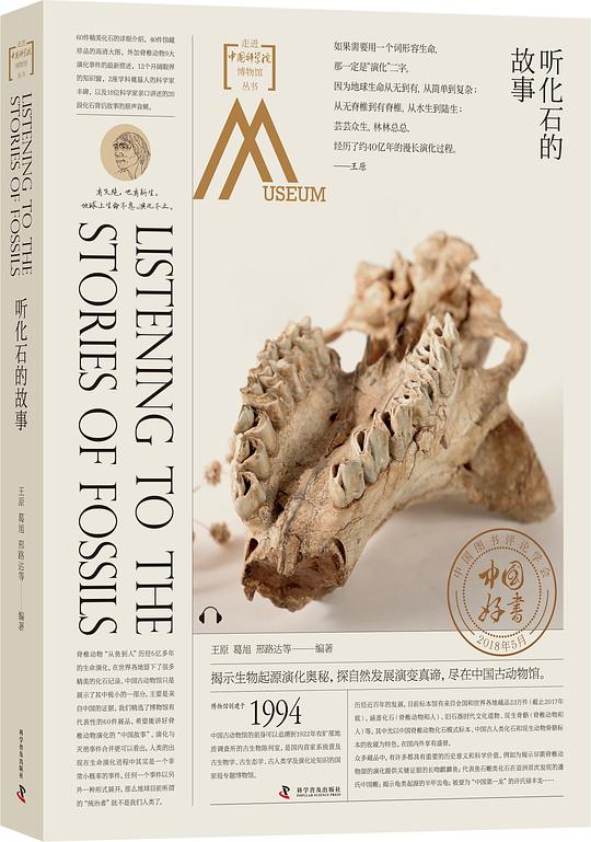 听化石的故事