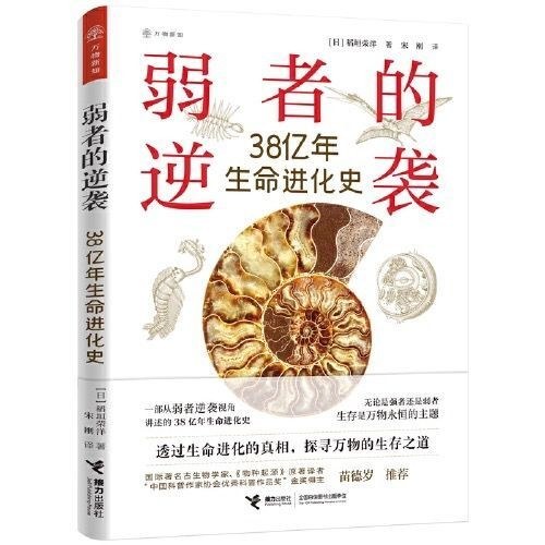 弱者的逆袭