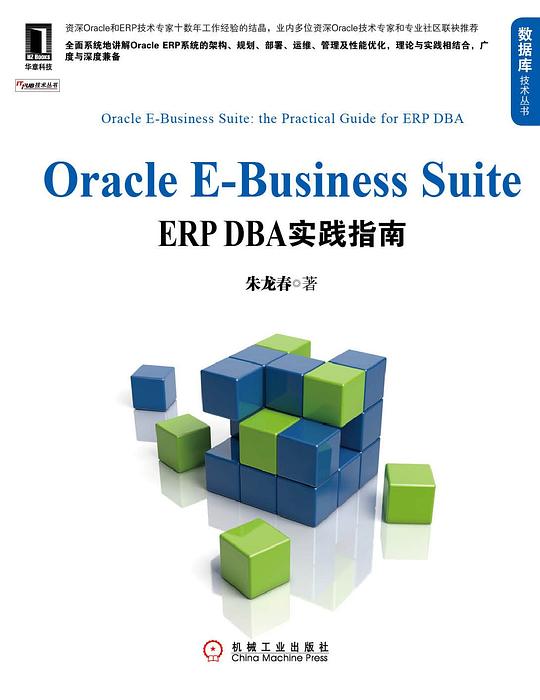 Oracle E-Business Suite：ERP DBA实践指南