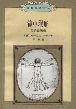 镜中瑕疵