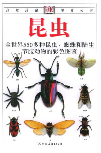 昆虫