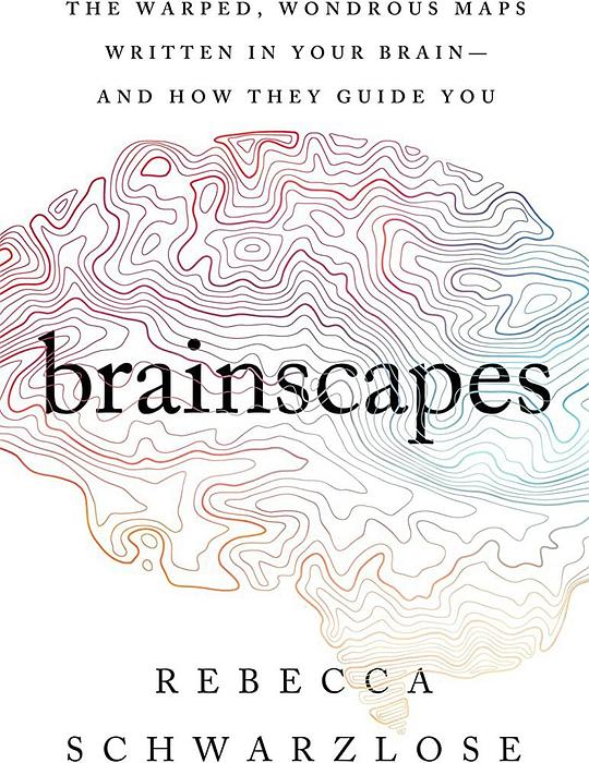 Brainscapes
