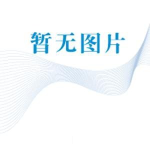 大学物理简明教程