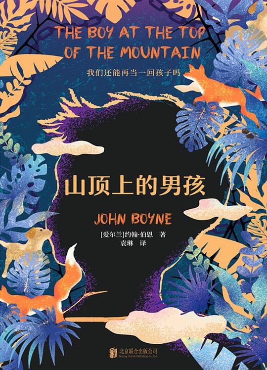 山顶上的男孩