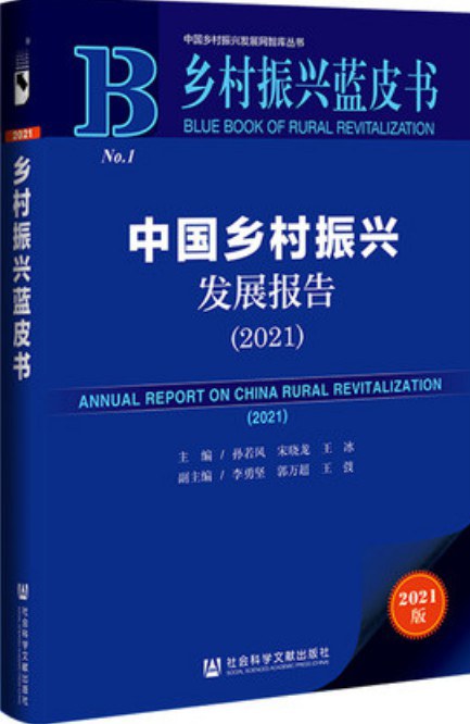 中国乡村振兴发展报告（2021）