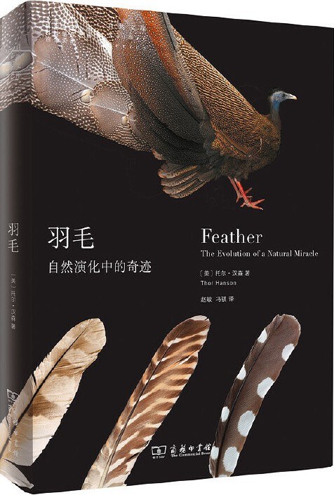 羽毛
