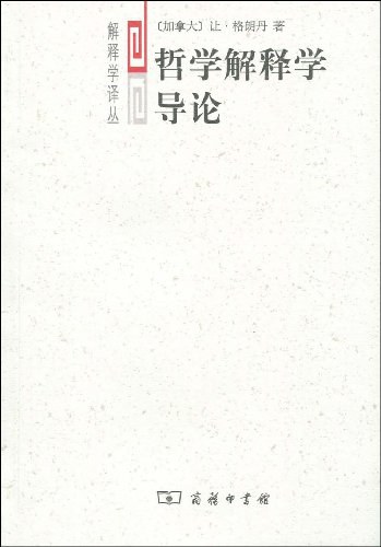 哲学解释学导论