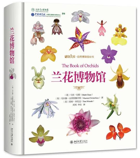 兰花博物馆
