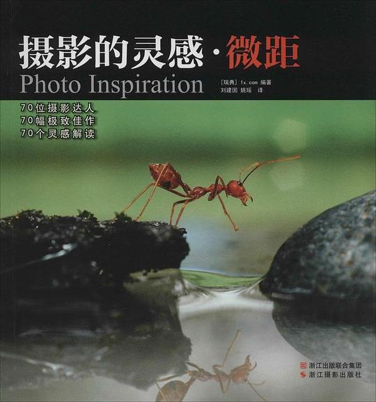 摄影的灵感